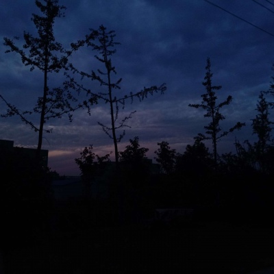 皆是我所认为美丽的风景....