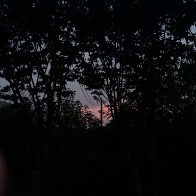 皆是我所认为美丽的风景....