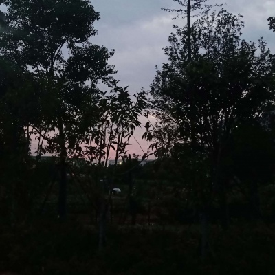 皆是我所认为美丽的风景....