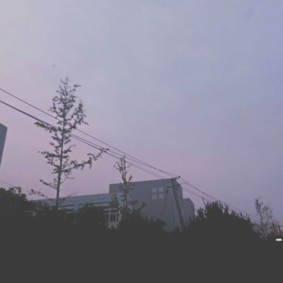 皆是我所认为美丽的风景....