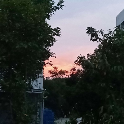 皆是我所认为美丽的风景....