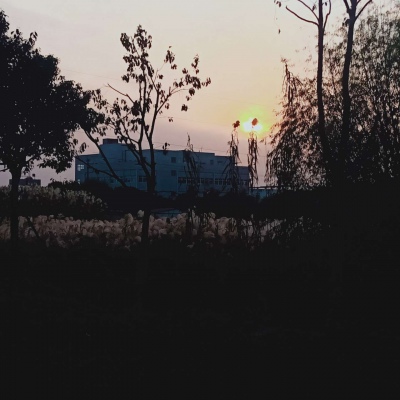 皆是我所认为美丽的风景....