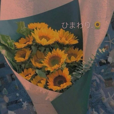 白灏宇:风景静物头像/唯美/花朵/爱自己是终身浪漫的开始