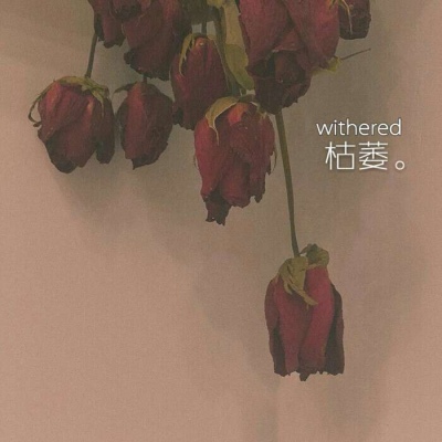 白灏宇:风景静物头像/唯美/花朵/爱自己是终身浪漫的开始