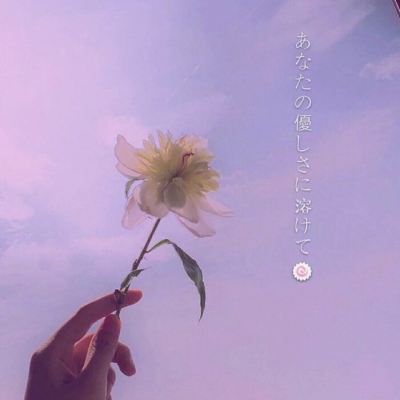 白灏宇:风景静物头像/唯美/花朵/爱自己是终身浪漫的开始