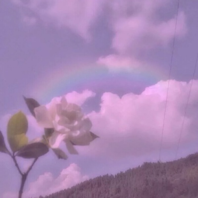 白灏宇:风景静物头像/唯美/花朵/爱自己是终身浪漫的开始