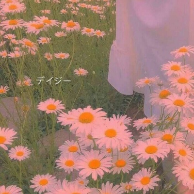 白灏宇:风景静物头像/唯美/花朵/爱自己是终身浪漫的开始