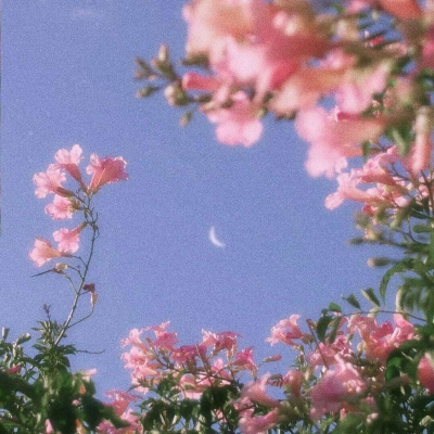 于泽＃潮流快手超火背景图＃人前不应该说的话 背后也别说
