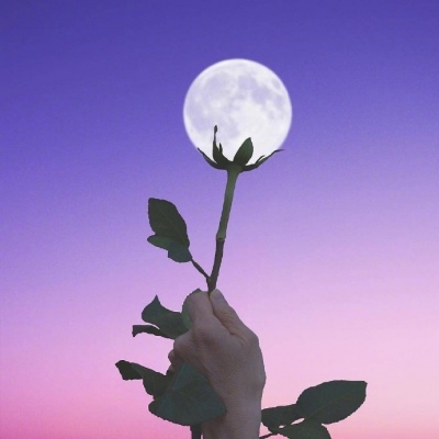 摘下月亮给你