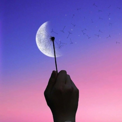 摘下月亮给你