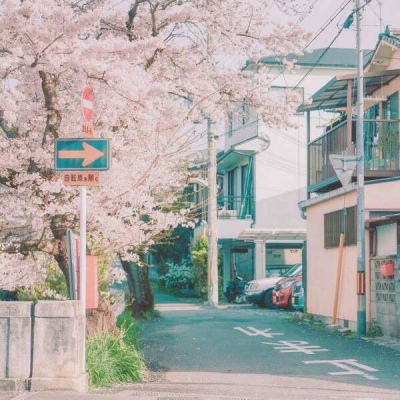 江孑 ins唯美粉色系樱花背景图