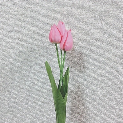背景图控