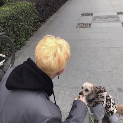谣言止于智者/男头