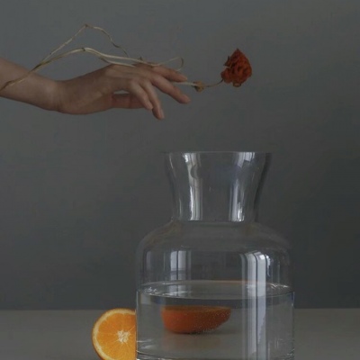 苏柒:背景图/一个华丽短暂的梦