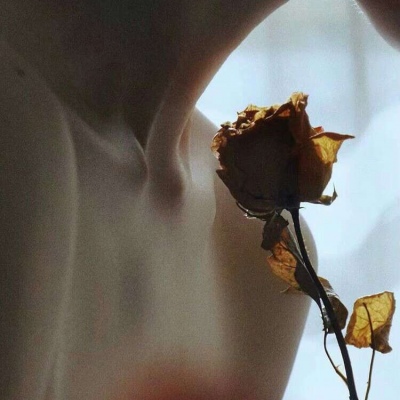 苏柒:背景图/一个华丽短暂的梦