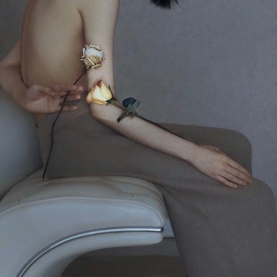 苏柒:背景图/一个华丽短暂的梦