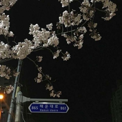沈倦/白日春不渡 黑夜万梦星