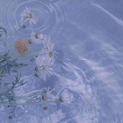陈情｜水蓝色仙女背景图 “不小心落下了爱意，落在了你身上.”
