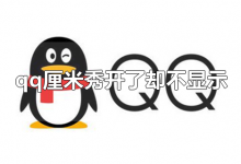 qq厘米秀开了却不显示