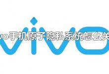 vivo手机原子隐私系统怎么关闭