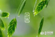 谷雨节气的含义是什么