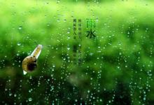 雨水节气吃什么 雨水养生