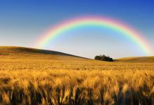 完整的彩虹是什么形状的?完整的彩虹形状图片