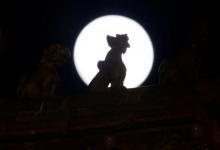 为什么故宫不要去三次