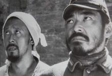 愚民文化的特点是什么?对民族强盛和进步有什么影响?