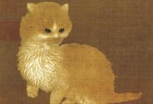 古时候哪个朝代开始出现养猫?怎么变成宠物的?