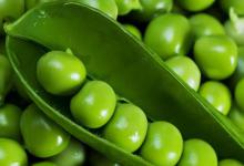 中国为什么叫豌豆为荷兰豆?