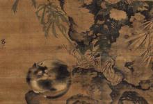 猫在古代为什么被称为狸奴?