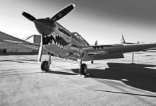 二战援华飞虎队飞机机头为何画上鲨鱼图案?