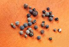 从科学角度讲,舍利子是什么物质