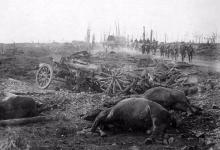 盘点第一次世界大战期间的伪装 一个比一个脑洞大开