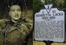 海拉细胞为什么会永生