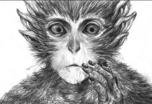 四大灵猴分别是谁?