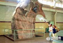 蒙古沙虫真实存在吗?