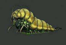 苗疆十大禁蛊是哪十个?