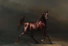 汉朝为什么培育不出纯种汗血宝马?