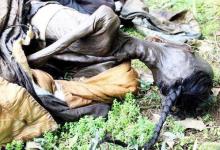 历史上真实的丧尸事件?