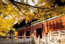 红螺寺求子太灵了（含求子的详细方法）