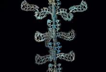 古代有摇钱树吗?