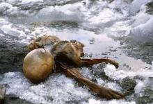 奥兹冰人的诅咒是真的吗?