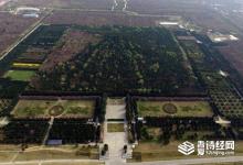 秦始皇陵为何建在骊山 是什么风水宝地吗