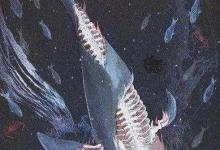 巨鲸落万物生啥意思?鲸鱼死后到底会经历什么?