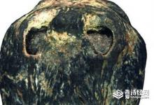 1500万年前的枣被发现是怎么回事