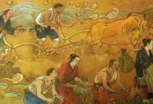 苏州为什么喜欢吃面 解析苏州与面食的历史“情缘”