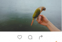 分享一闪文字在哪里添加。