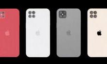 教你苹果12怎么把语言换成中文。